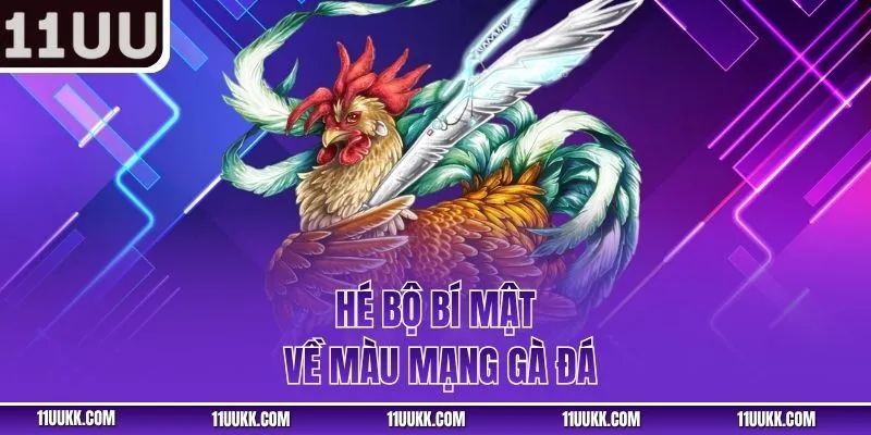 Hé bộ bí mật về Màu mạng gà đá