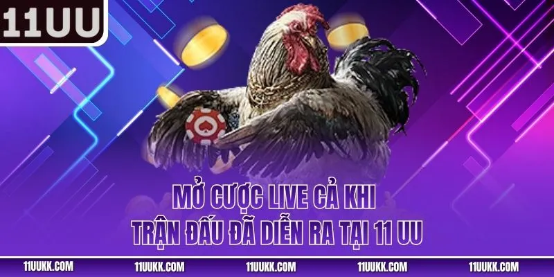 Mở cược live cả khi trận đấu đã diễn ra tại 11 UU