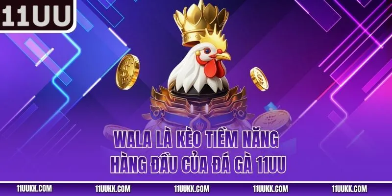 Wala là kèo tiềm năng hàng đầu của đá gà 11UU